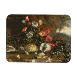 Magnet Flexible Chardons, fleurs, reptiles et papillons à coté