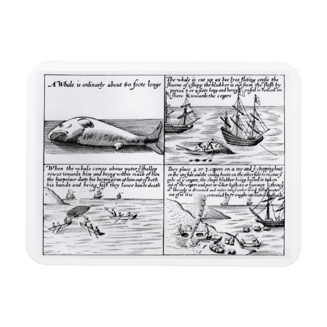Magnet Flexible Chasse à la baleine à Spitzbergen en 1611 (gravure (Horizontal)