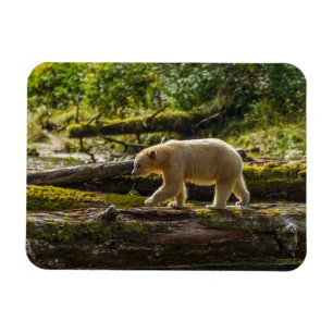 Magnet Flexible Chasse de l'ours esprit blanc