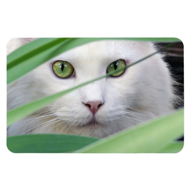 Magnet Flexible Chat  (Horizontal)