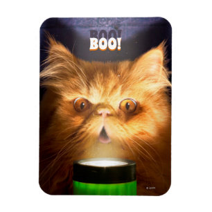 Magnet Flexible Chat avec lampe de poche