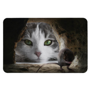 Magnet Flexible Chat et souris