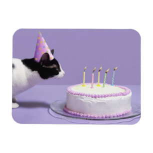 Magnet Flexible Chat portant un casquette d'anniversaire soufflant