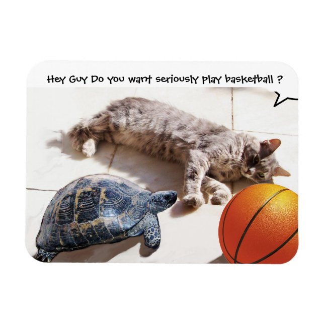 MAGNET FLEXIBLE CHAT, TORTUE ET BASKETBALL (Horizontal)