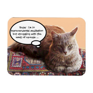 MAGNET FLEXIBLE CHAT TURQUE EN MÉDITATION TRANSCENDENTALE