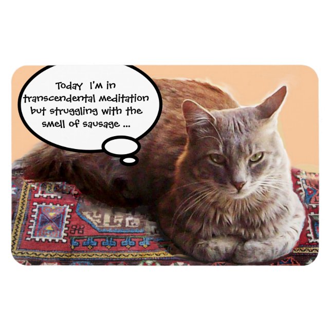 MAGNET FLEXIBLE CHAT TURQUE EN MÉDITATION TRANSCENDENTALE (Horizontal)