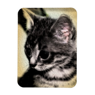 Magnet Flexible Chaton tigré