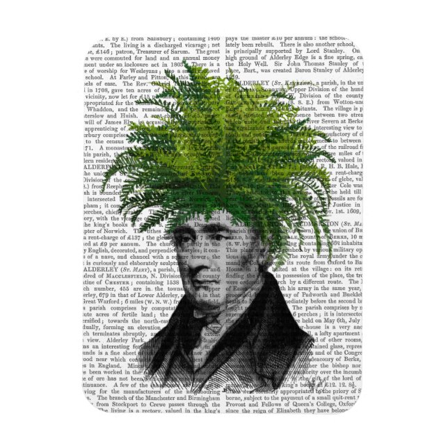 Magnet Flexible Chef du Plante de Fern Head (Vertical)