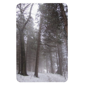 Magnet Flexible Chemin forestier d'hiver