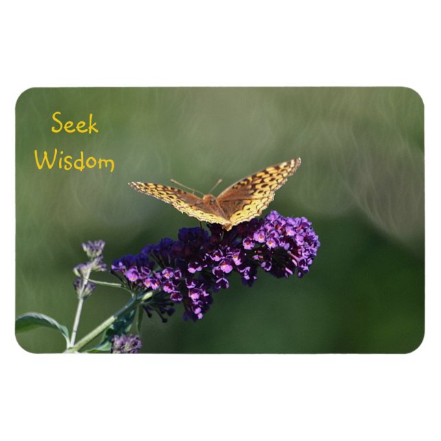 Magnet Flexible Chercher le papillon de sagesse (Horizontal)
