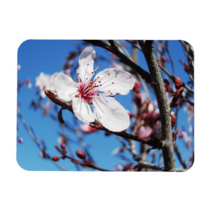 Magnet Flexible Cherry Blossom 2