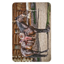 Cheval à cheval