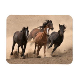 Magnet Flexible Cheval À L'Automne II