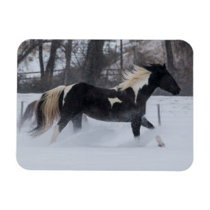 Magnet Flexible Cheval à travers la neige