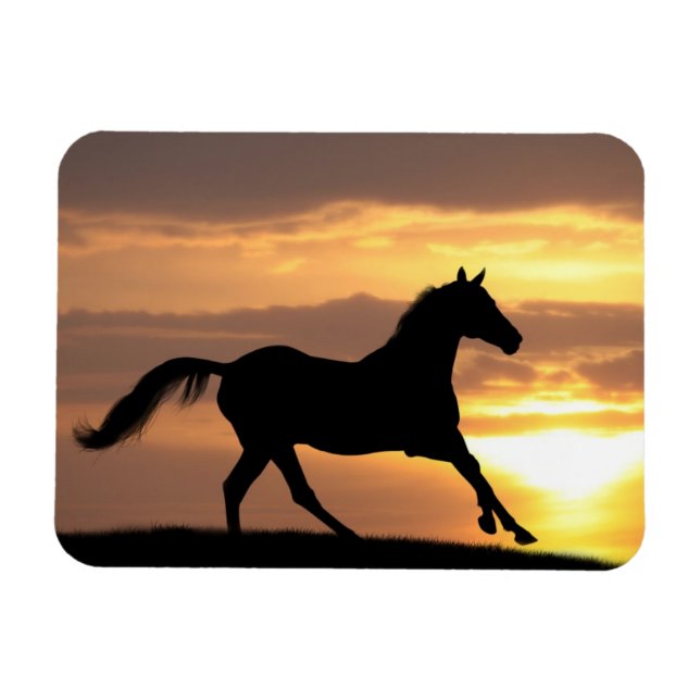 Magnet Flexible Cheval Au Coucher Du Soleil (Horizontal)
