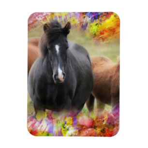 Magnet Flexible Cheval coloré
