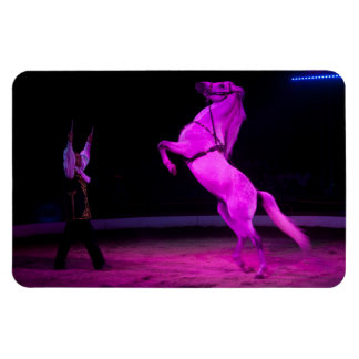 Magnet Flexible Cheval de cirque rose