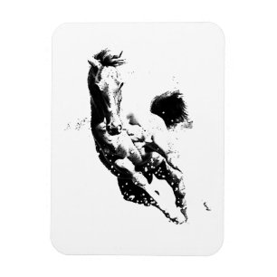Magnet Flexible Cheval de course