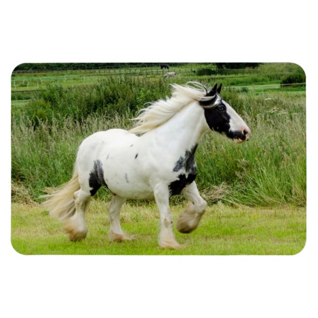 Magnet Flexible Cheval de peinture de Shire Aimant flexible (Horizontal)