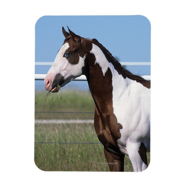 Magnet Flexible Cheval de peinture debout (Vertical)