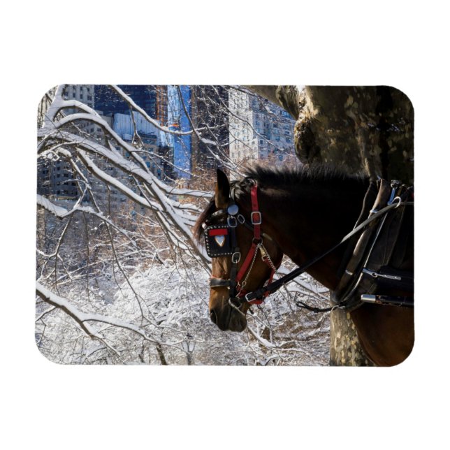 Magnet Flexible Cheval de transport d'hiver (Horizontal)
