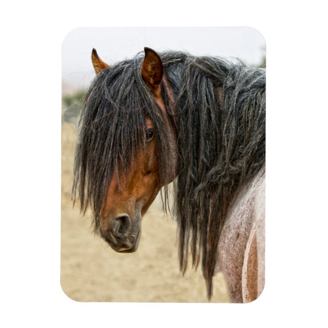 Magnet Flexible Cheval Mane (Vertical)