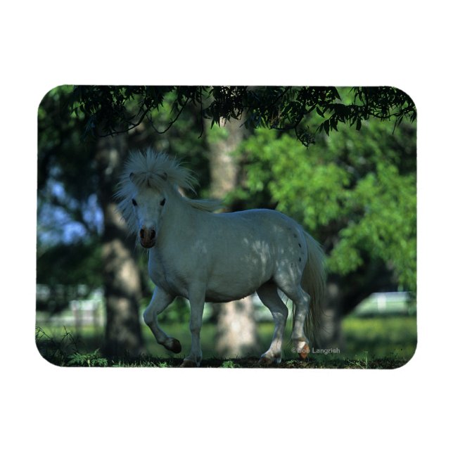 Magnet Flexible Cheval miniature debout dans les arbres (Horizontal)