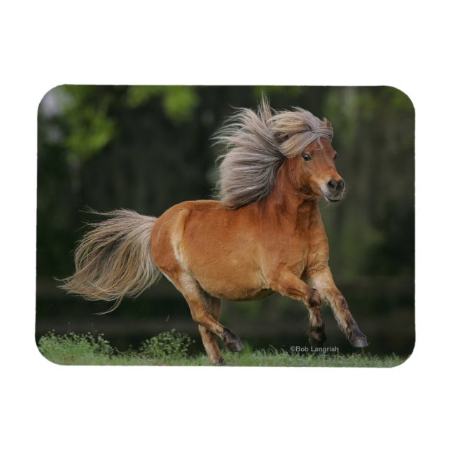 Magnet Flexible Cheval Miniature En Course (Horizontal)