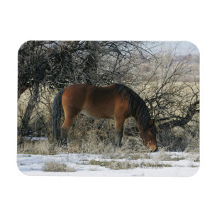 Magnet Flexible Cheval Mustang sauvage dans la neige 1