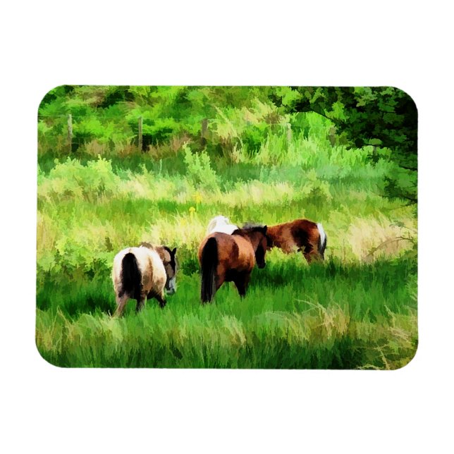 MAGNET FLEXIBLE CHEVAUX (Horizontal)