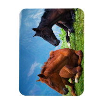 Chevaux de Moody Mountain : Un Art Fin 