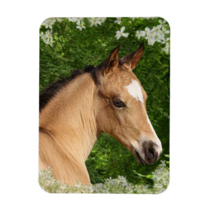 Magnet Flexible Chevaux d'Imaginaire : Fleurs