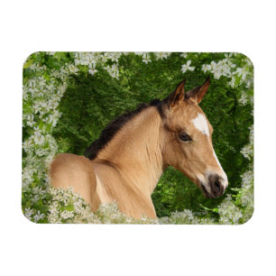 Magnet Flexible Chevaux d'Imaginaire : Fleurs