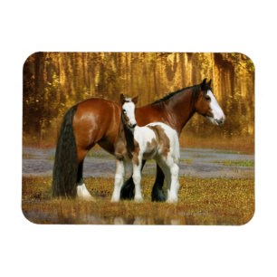 Magnet Flexible Chevaux d'imaginaire : Jument et poulain