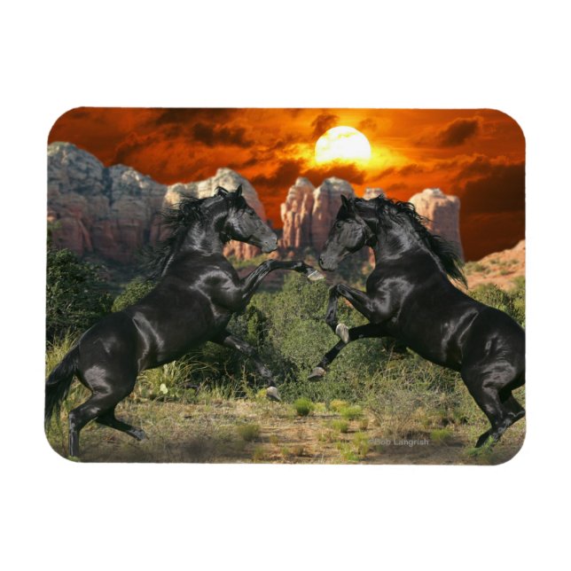 Magnet Flexible Chevaux d'Imaginaire : Magie noire (Horizontal)