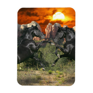 Magnet Flexible Chevaux d'imaginaire : Magie noire
