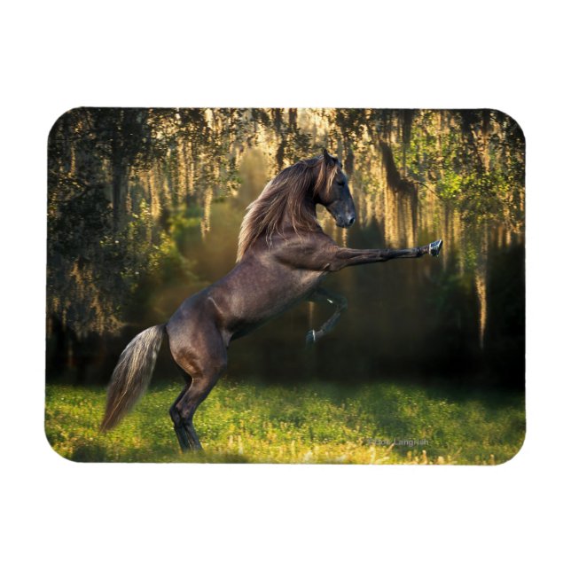 Magnet Flexible Chevaux d'Imaginaire : Prince Guerrier (Horizontal)