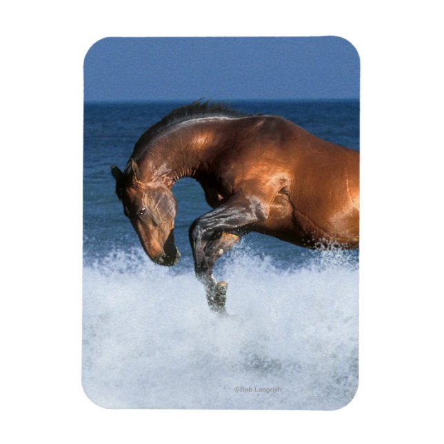 Magnet Flexible Chevaux d'Imaginaire : Selle Francais & Mer (Vertical)