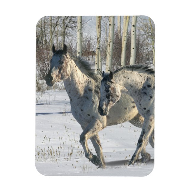 Magnet Flexible Chevaux d'Imaginaire : Wonderland d'hiver (Vertical)
