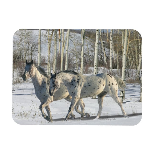 Magnet Flexible Chevaux d'Imaginaire : Wonderland d'hiver (Horizontal)