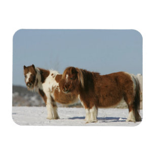 Magnet Flexible Chevaux miniatures debout dans la neige