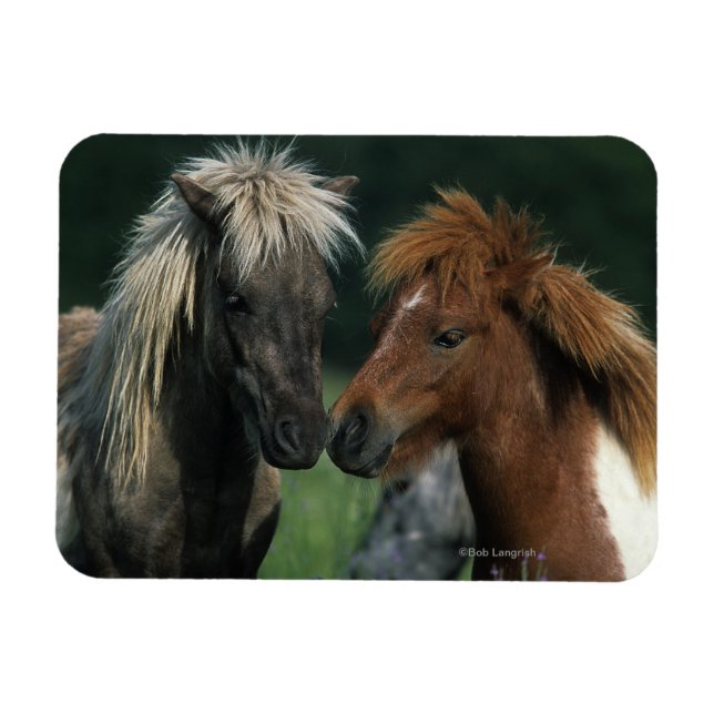 Magnet Flexible Chevaux miniatures Touchant (Horizontal)