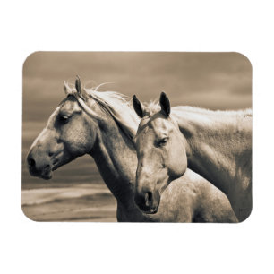 Magnet Flexible Chevaux Quarter Horse dans la prairie canadienne