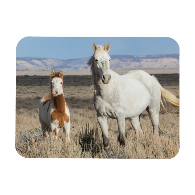 Magnet Flexible Chevaux sauvages chez eux dans le bassin de Sandwa (Horizontal)