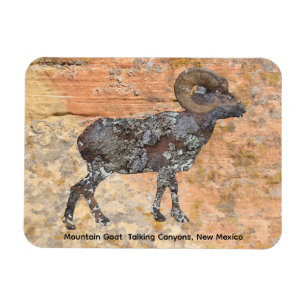Magnet Flexible Chèvre des montagnes