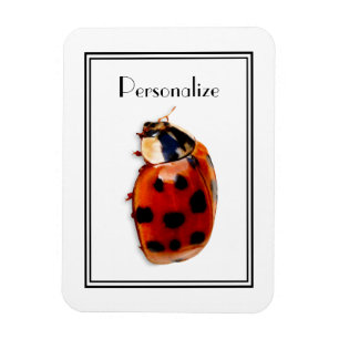 Magnet Flexible Chic Spotted Ladybug Avec Nom