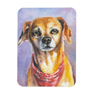 Magnet Flexible Chien 2