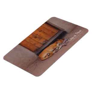 Magnet Flexible Chien au repos