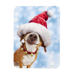 Magnet Flexible Chien avec un grand chapeau de Père Noël