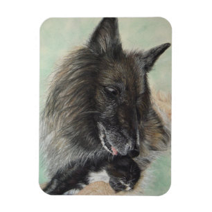 Magnet Flexible chien berger de belgique en train d'agiter le chat
